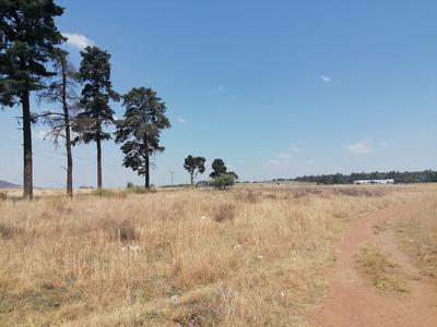  For Sale in Walkerville Central, Walkerville