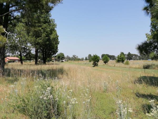 Vacant Land / Plot For Sale in Homestead Apple Orchards, Walkerville